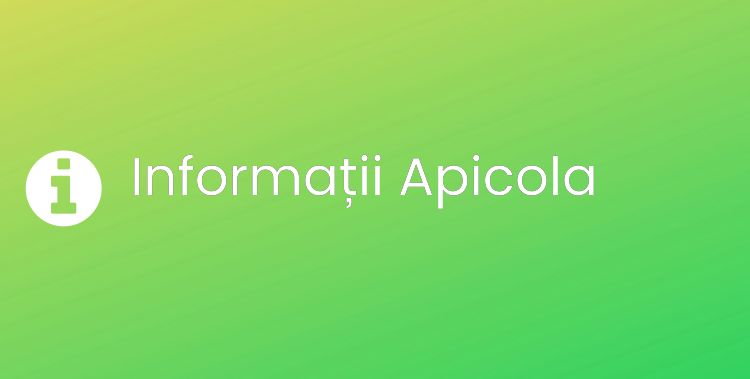 Apicola Section Header Image