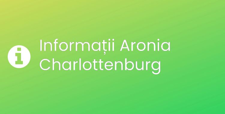 Aronia Charlottenburg Section Header Image