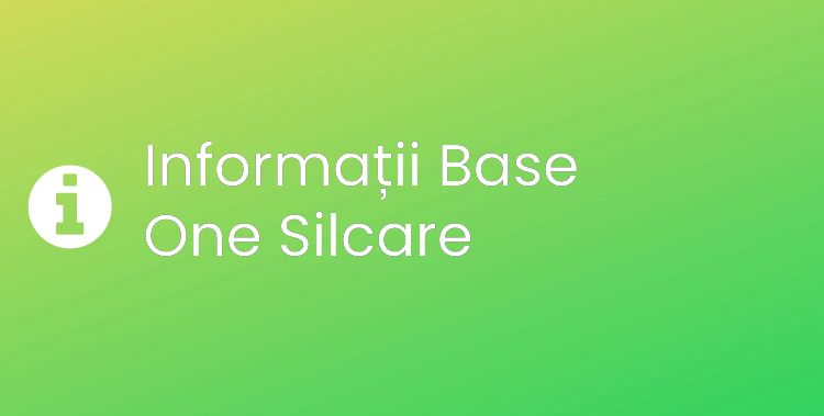 Base One Silcare Section Header Image