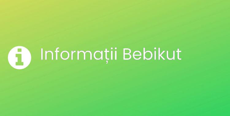 Bebikut Section Header Image