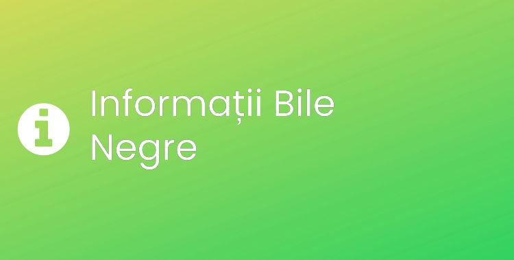 Bile Negre Section Header Image