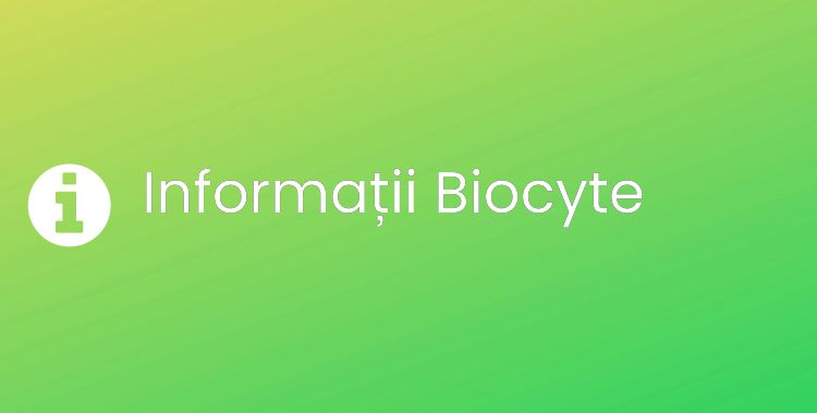Biocyte Section Header Image