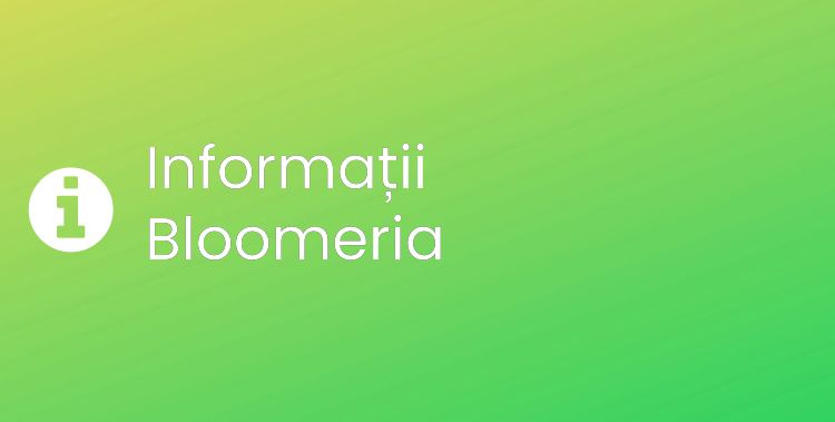 Bloomeria Section Header Image