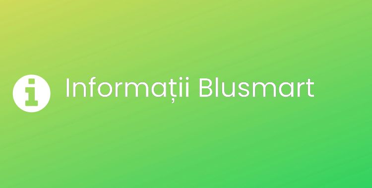 Blusmart Section Header Image