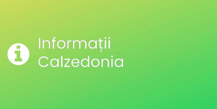 Calzedonia Section Header Image