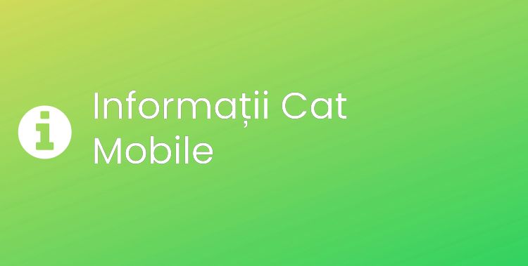 Cat Mobile Section Header Image