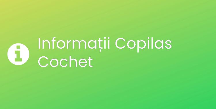 Copilas Cochet Section Header Image