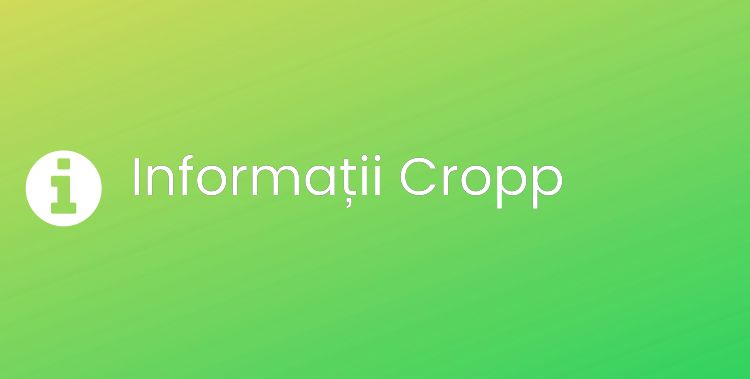 Cropp Section Header Image