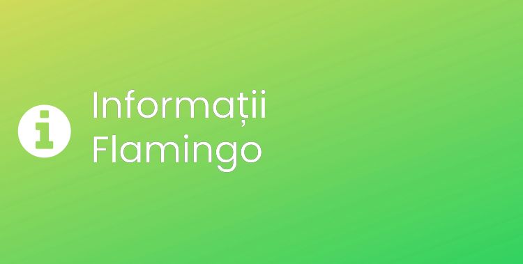 Flamingo Section Header Image