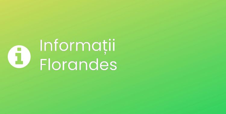Florandes Section Header Image