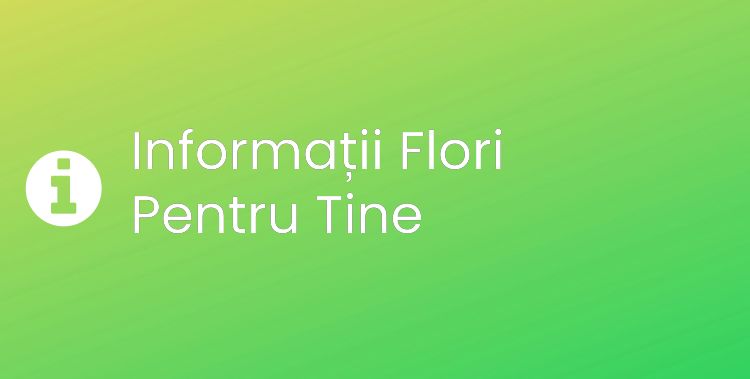 Flori Pentru Tine Section Header Image