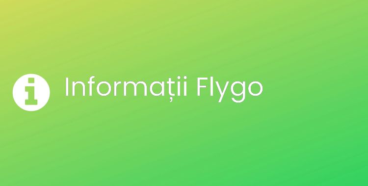 Flygo Section Header Image
