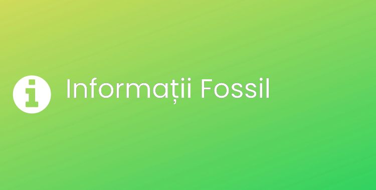Fossil Section Header Image