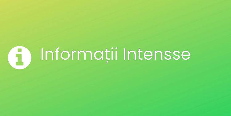 Intensse Section Header Image