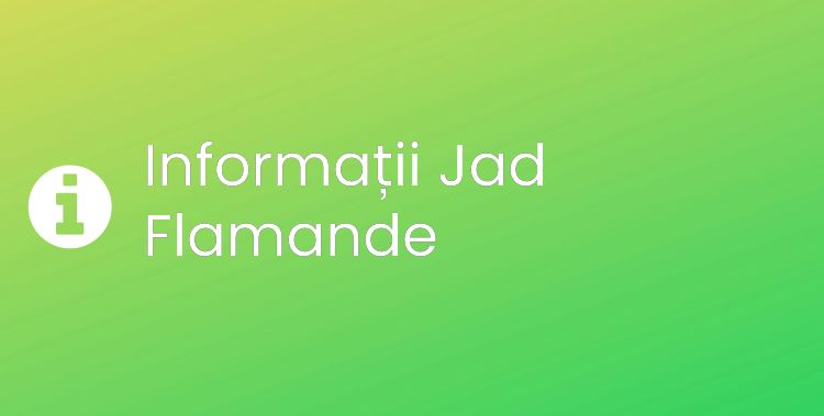 Jad Flamande Section Header Image