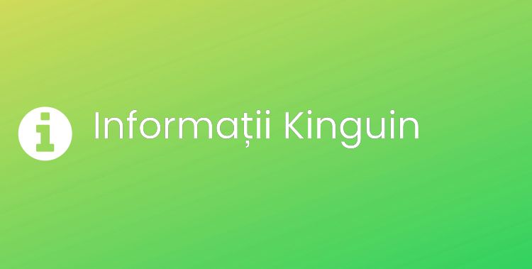 Kinguin Section Header Image