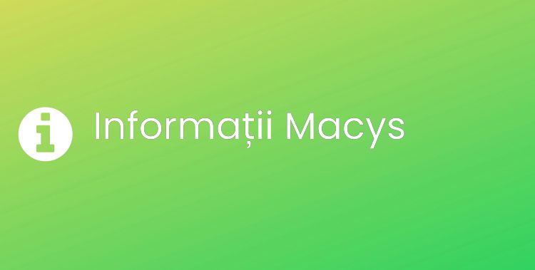 Macys Section Header Image