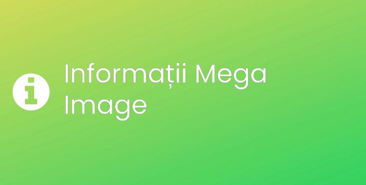 Mega Image Section Header Image