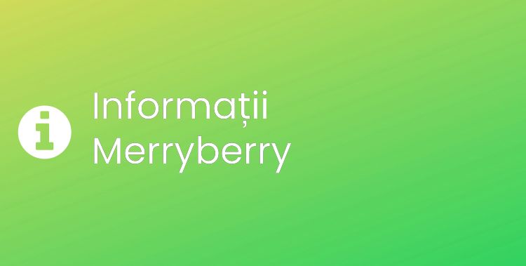 Merryberry Section Header Image