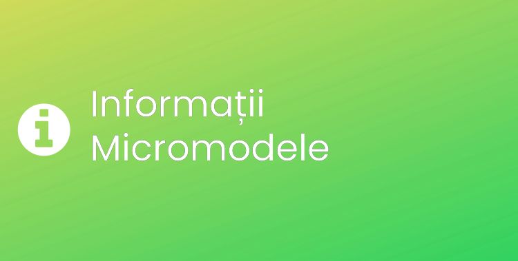 Micromodele Section Header Image