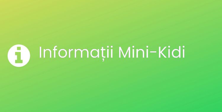 Mini-Kidi Section Header Image