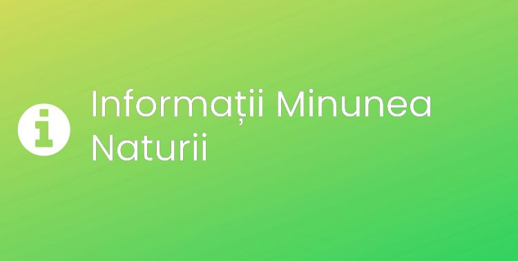 Minunea Naturii Section Header Image