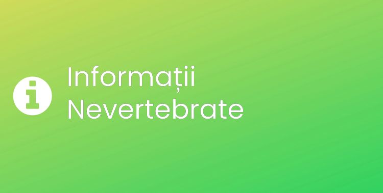 Nevertebrate Section Header Image