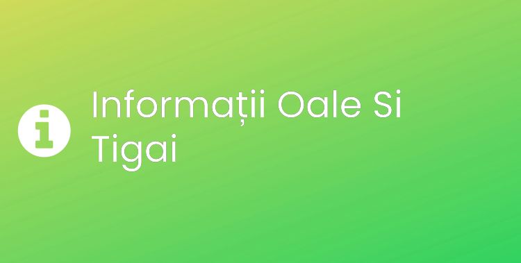 Oale Si Tigai Section Header Image