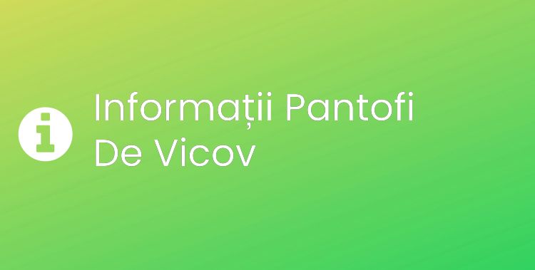 Pantofi De Vicov Section Header Image