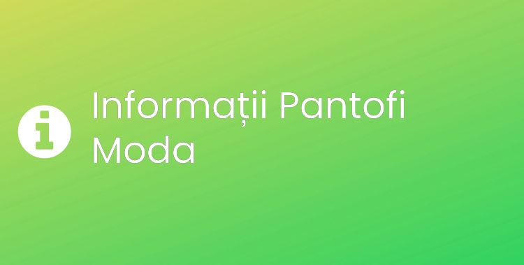 Pantofi Moda Section Header Image