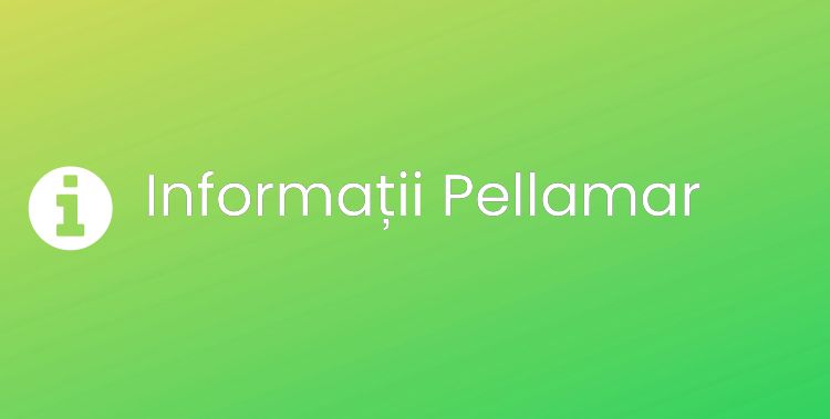 Pellamar Section Header Image
