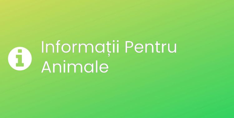 Pentru Animale Section Header Image