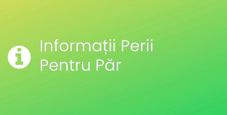 Perii Pentru Păr Section Header Image