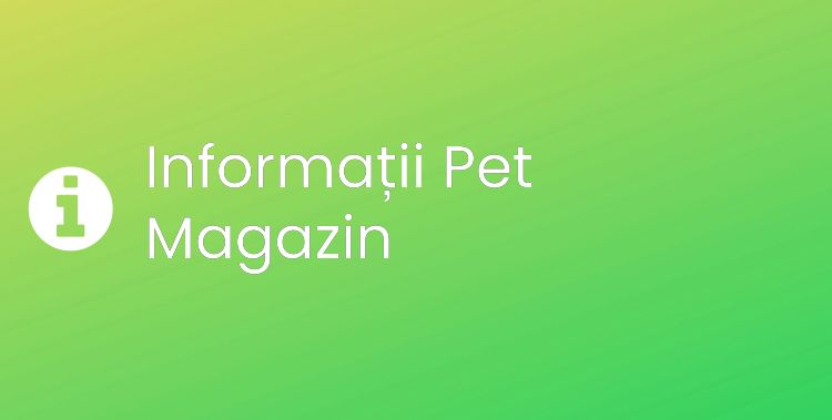 Pet Magazin Section Header Image