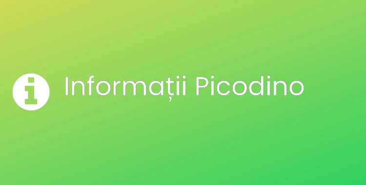 Picodino Section Header Image