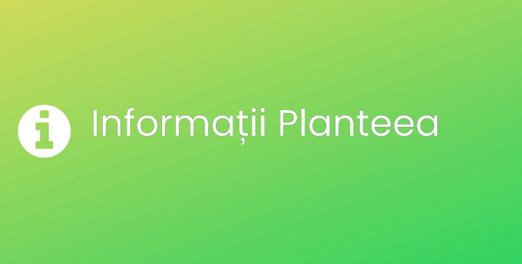 Planteea Section Header Image
