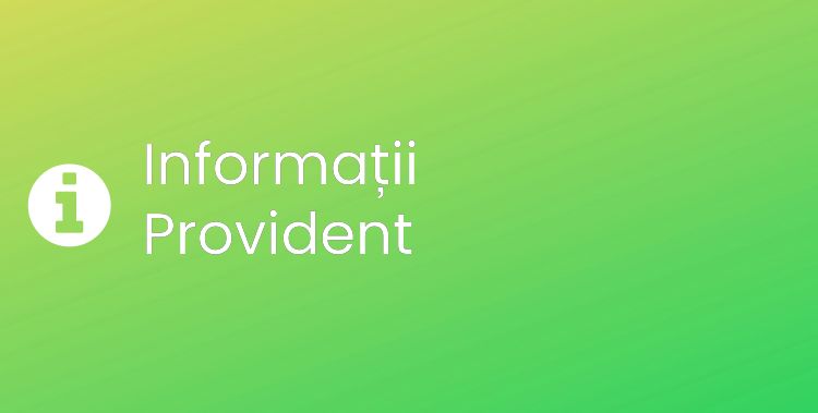 Provident Section Header Image