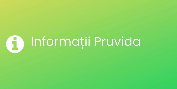 Pruvida Section Header Image