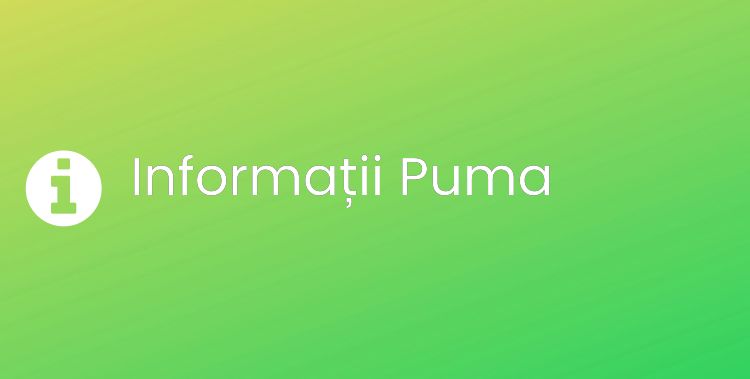 Puma Section Header Image