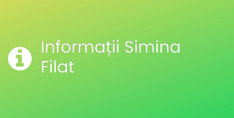 Simina Filat Section Header Image