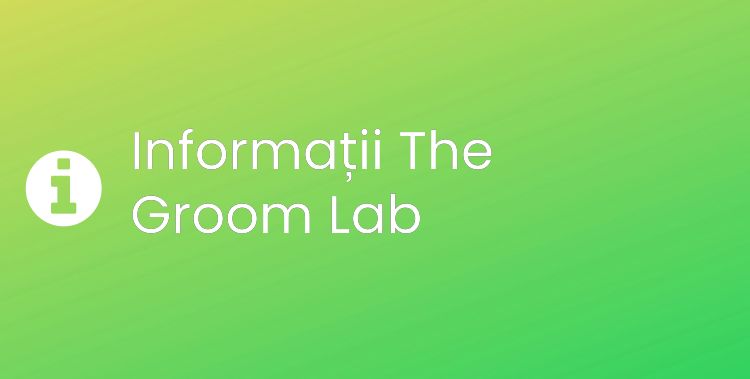 The Groom Lab Section Header Image