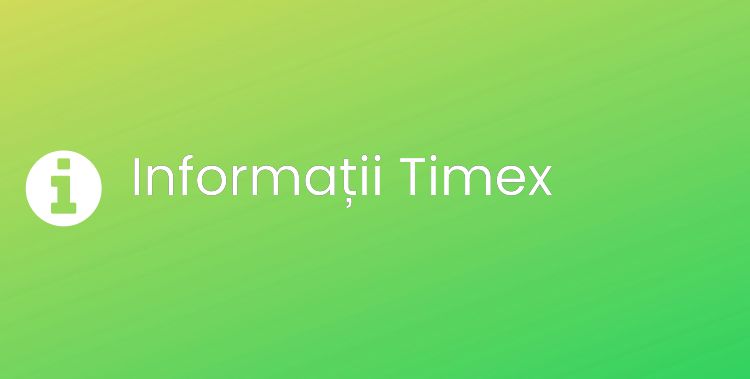 Timex Section Header Image