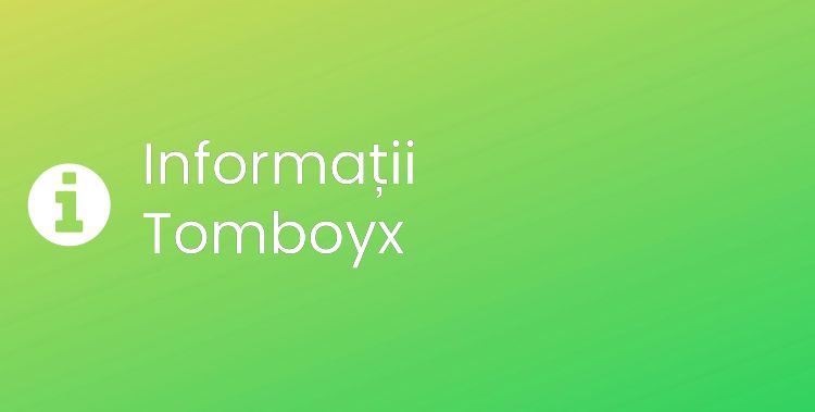 Tomboyx Section Header Image