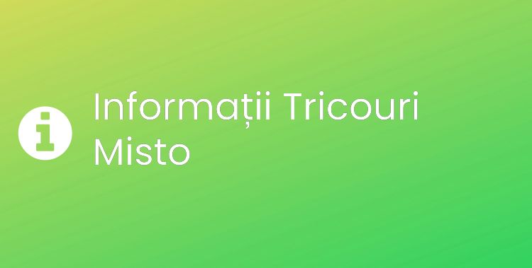 Tricouri Misto Section Header Image