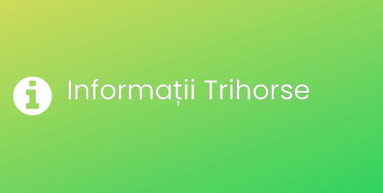 Trihorse Section Header Image