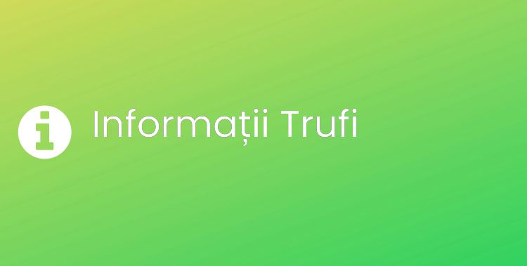 Trufi Section Header Image