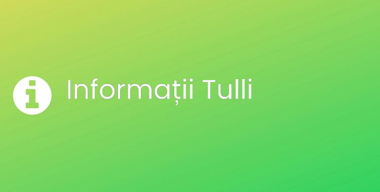 Tulli Section Header Image