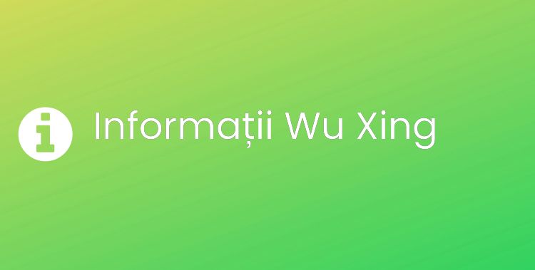 Wu Xing Section Header Image